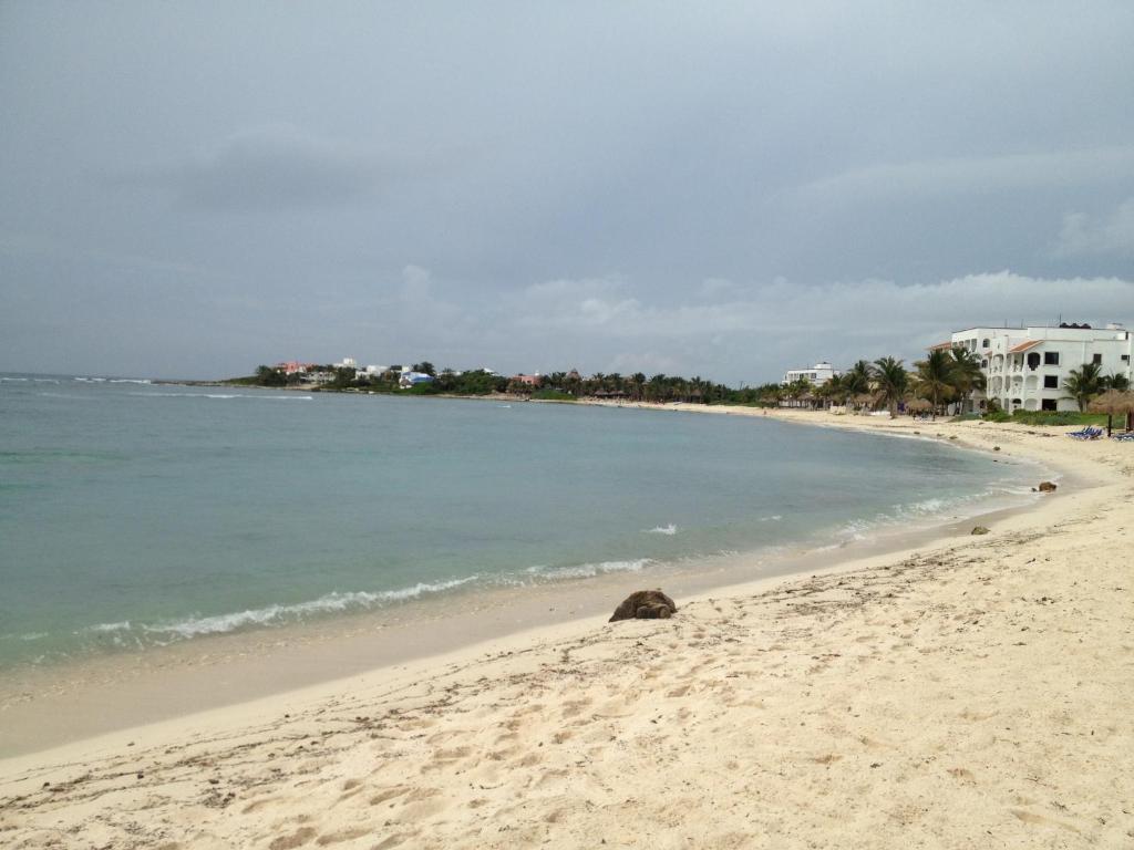 Las Villas Akumal Eksteriør billede